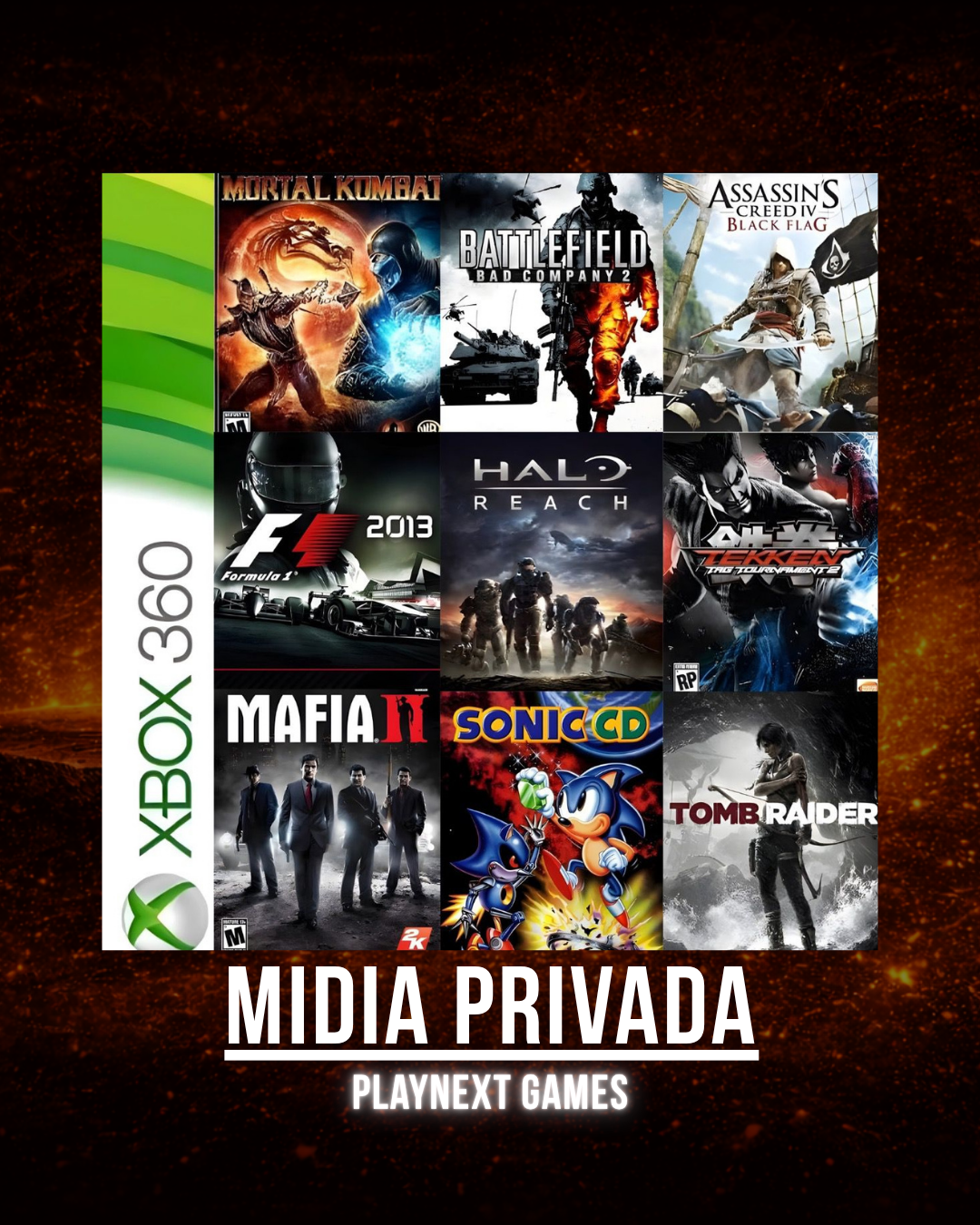 Texto do seu parágrafo (55)